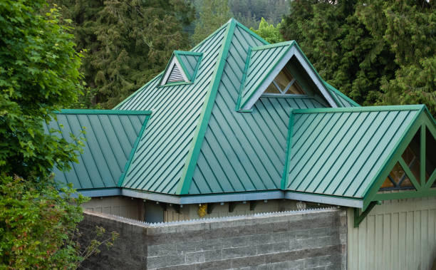 Best Skylight Installation and Repair  in Perkins, OK